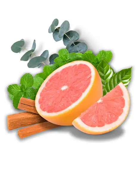 Emerald Bay Clean Fragrance - Fragrances